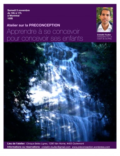 Atelier-Preconception nov 2011.jpg